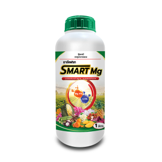 ชาลีเฟรท SMART Mg