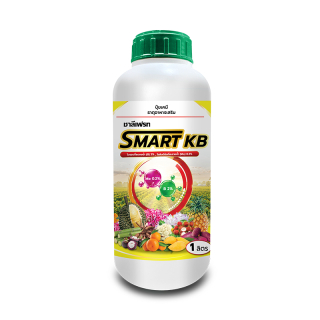 ชาลีเฟรท SMART KB