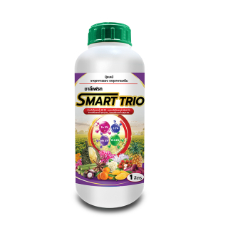 ชาลีเฟรท SMART TRIO