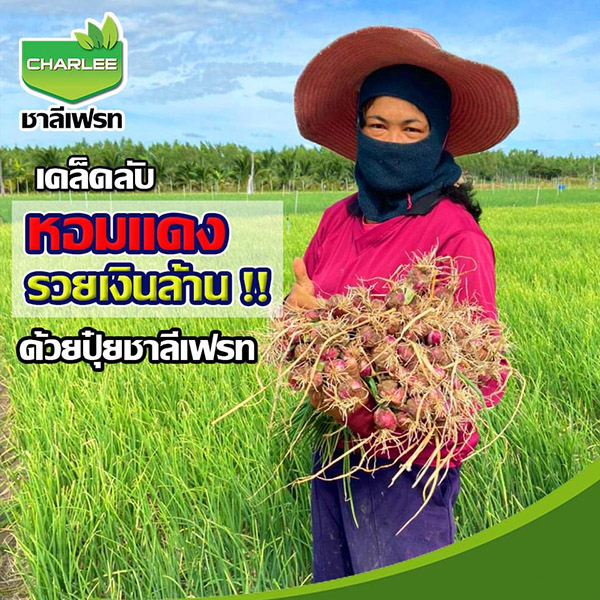ตัวอย่างเกษตรกรผู้ใช้งานจริง